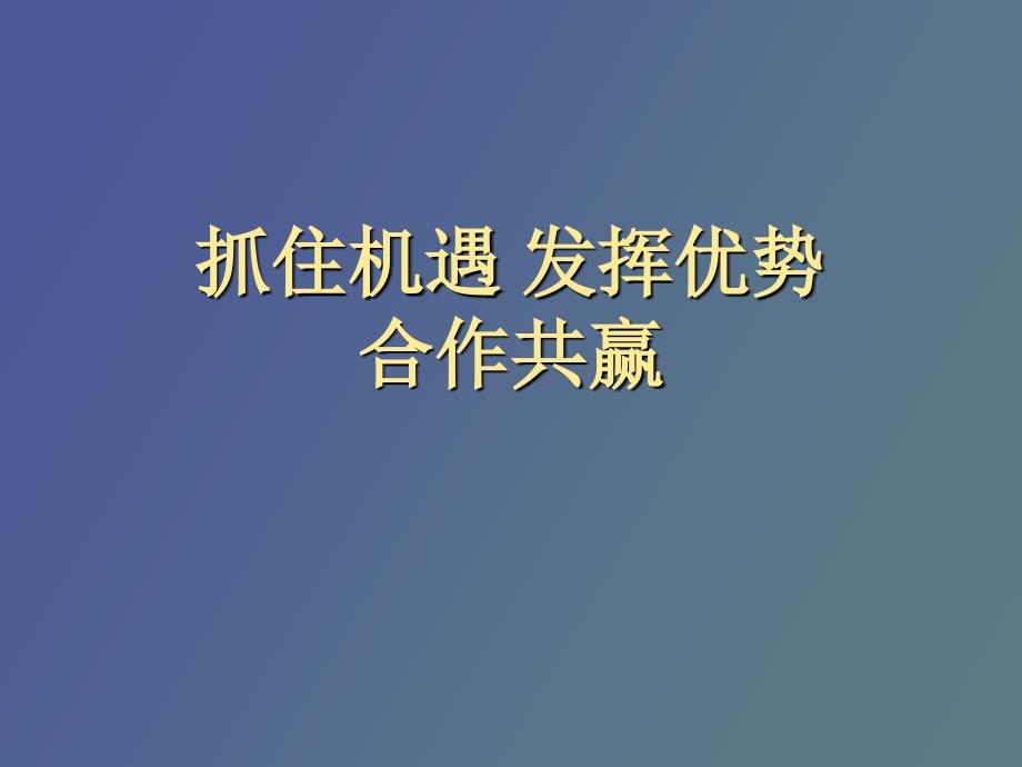 抓住机遇发挥优势合作共赢_第1页