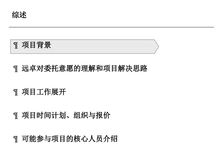 某集团项目工作计划建议书_第4页