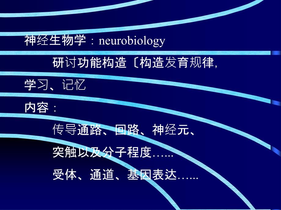 神经分子生物学Ippt课件_第2页