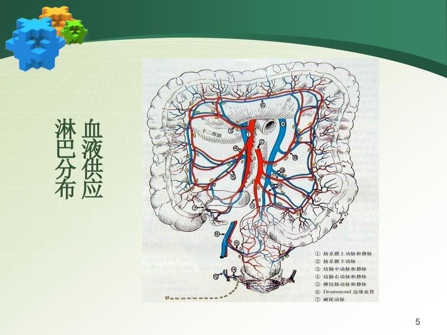 大肠疾病的护理PPT课件_第5页