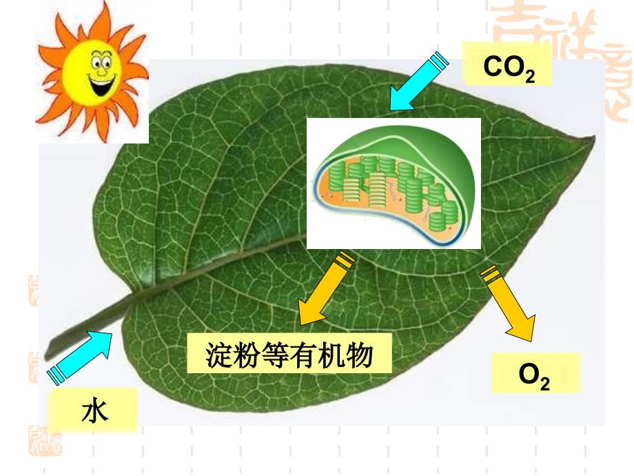 光合作用的探究历程PPT课件.ppt_第2页