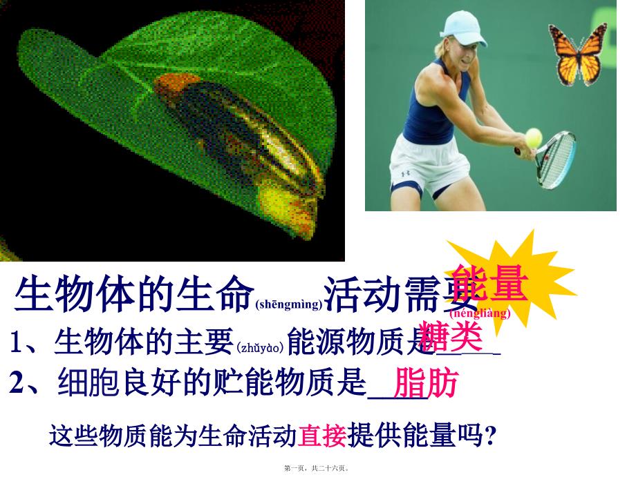 ATP-细胞的能量通货课件_第1页