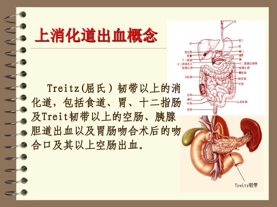 上消化道出血1课件_第3页