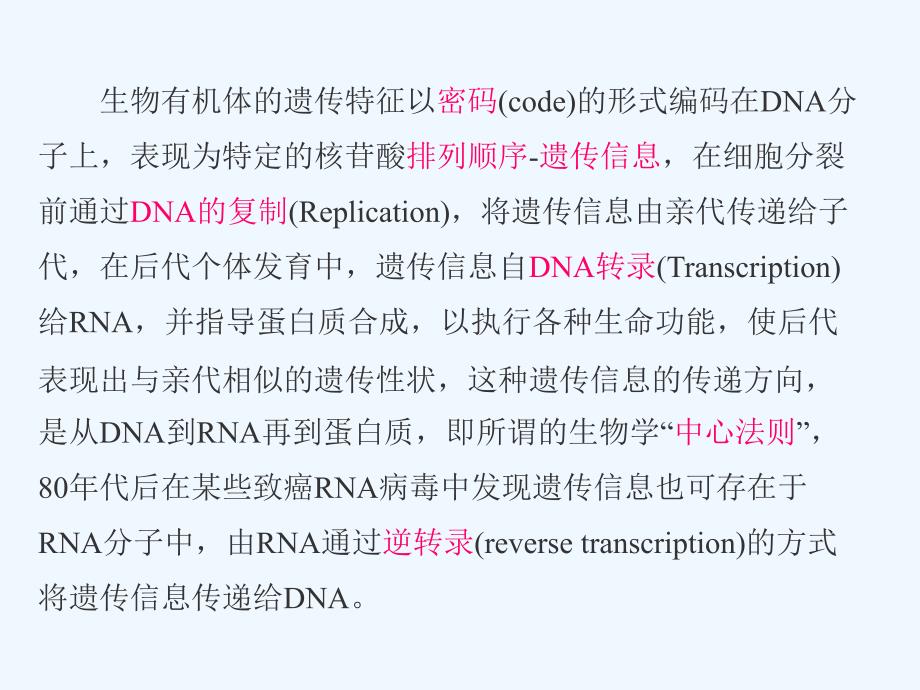 DNA的生物合成ppt课件_第2页