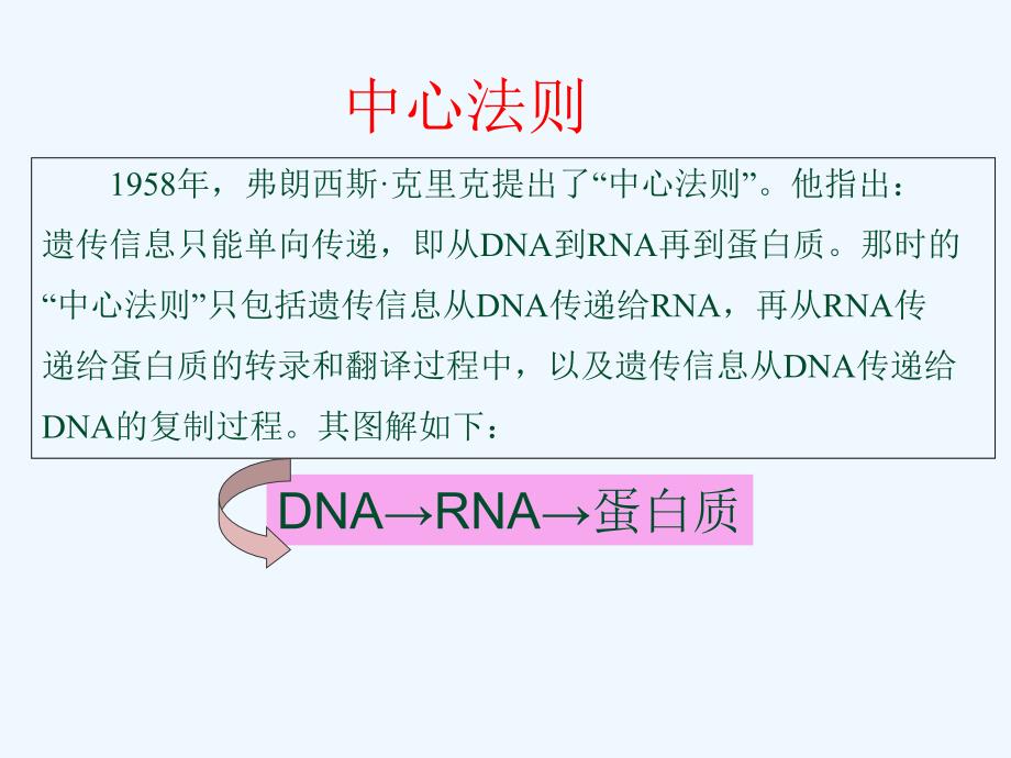 DNA的生物合成ppt课件_第3页