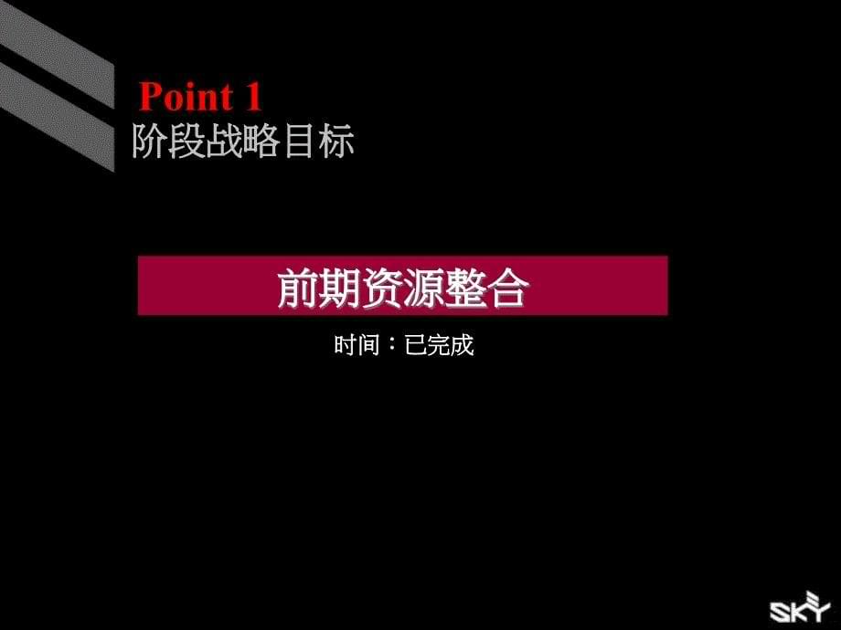 斯盖机构7月上海游站营销策略整合_第5页