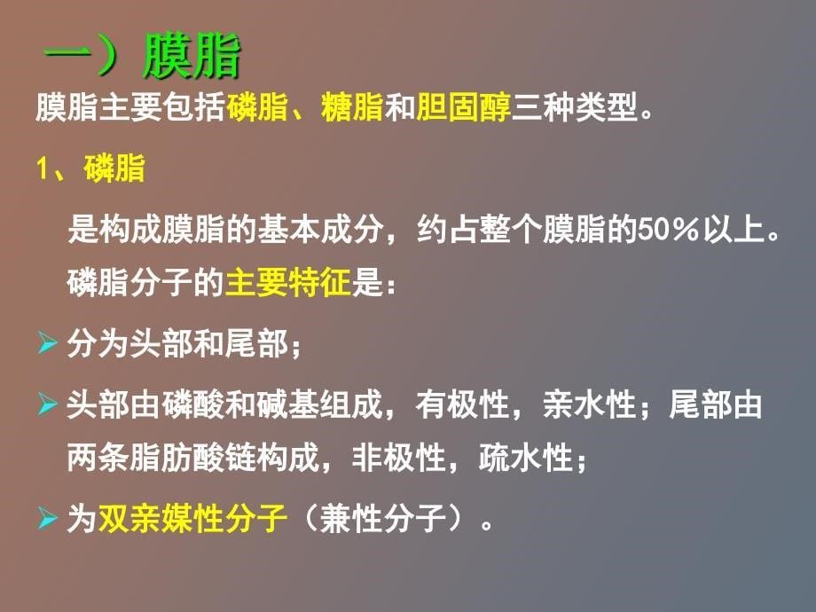 细胞膜及其表面结构_第5页