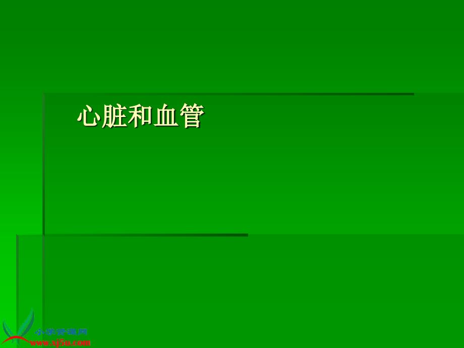 青岛版小学科学心脏和血管教学课件_第1页