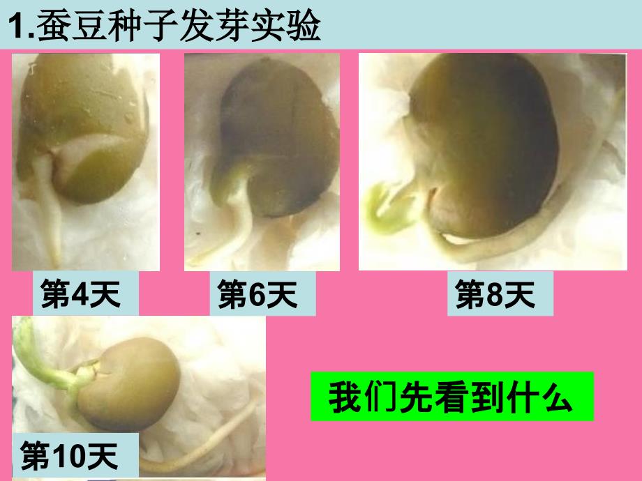 教科版三年级下册一单元3课ppt课件_第2页