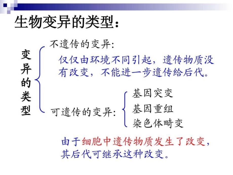 第一节生物变异的来源1_第3页