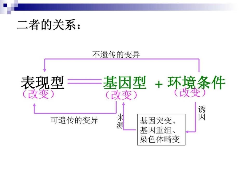 第一节生物变异的来源1_第4页