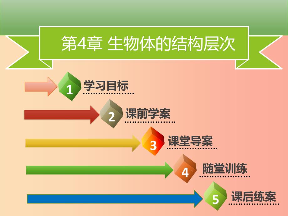 2019年秋季七年级生物上册第二单元第4章第1节细胞分化形成组织习题课件（新版）北师大版.ppt_第2页