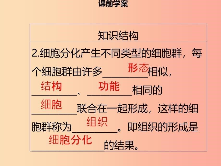 2019年秋季七年级生物上册第二单元第4章第1节细胞分化形成组织习题课件（新版）北师大版.ppt_第5页