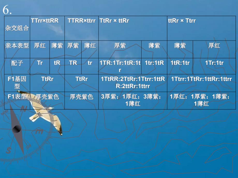 遗传学课后答案ppt课件_第2页