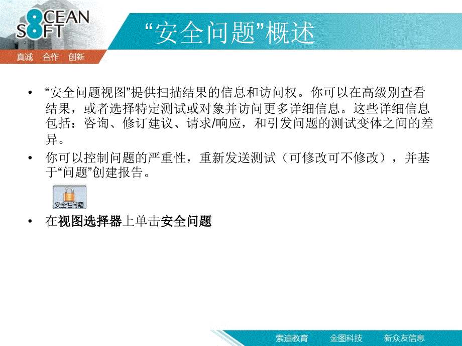 最新APPSCAN扫描问题结果_第3页