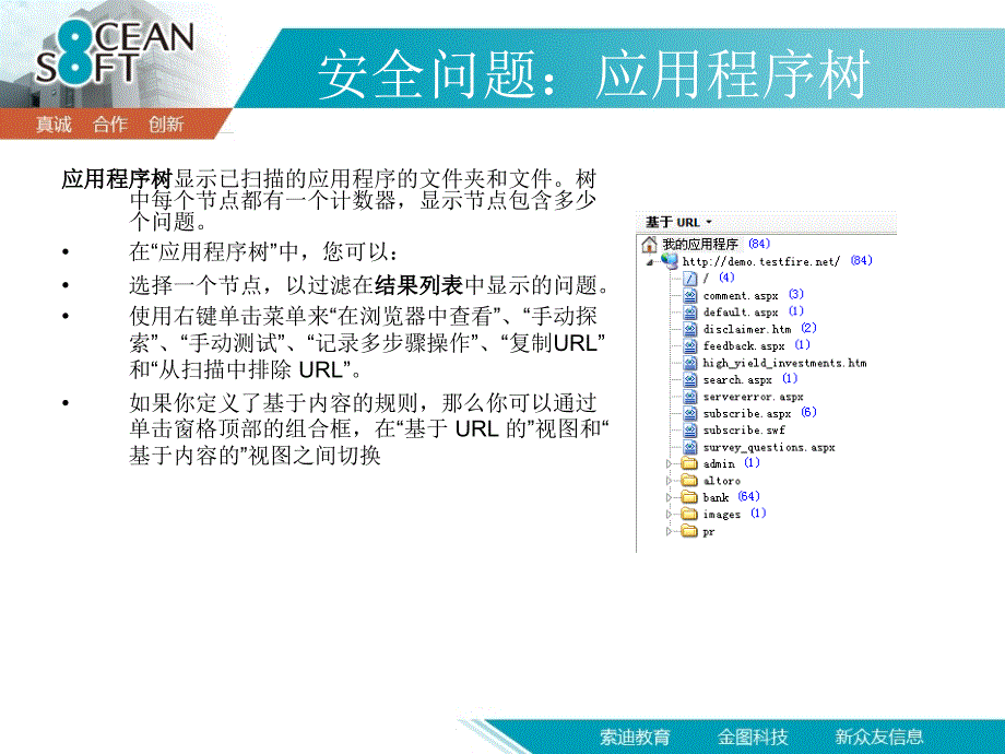 最新APPSCAN扫描问题结果_第4页