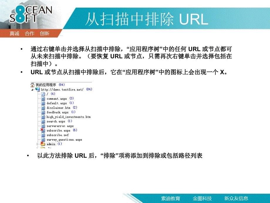 最新APPSCAN扫描问题结果_第5页