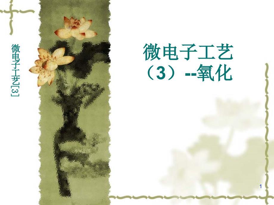 第四章热氧化