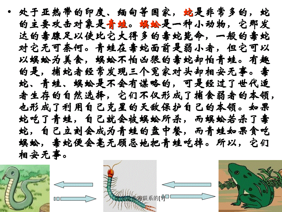 世界是普遍联系的课件_第4页