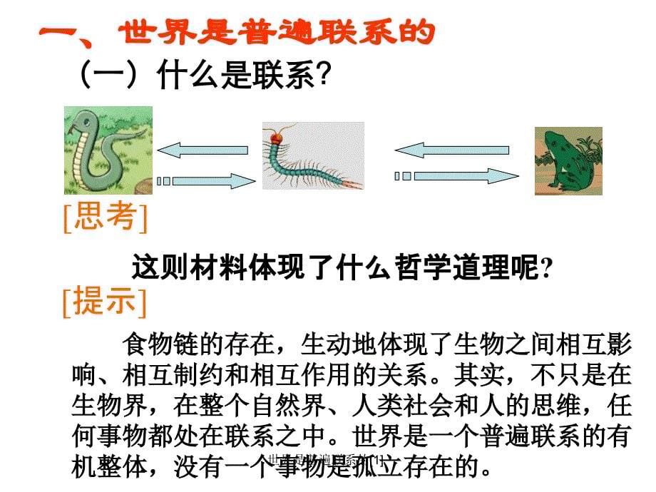 世界是普遍联系的课件_第5页