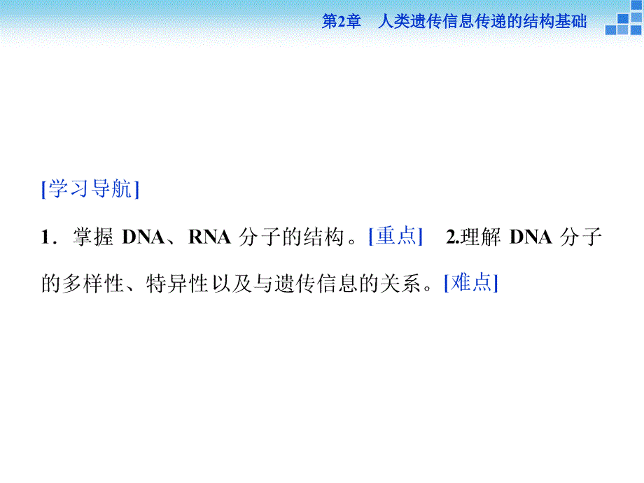 北师大版必修2 第2章第2节 DNA贮存遗传信息（二） 课件（34张）.ppt_第2页