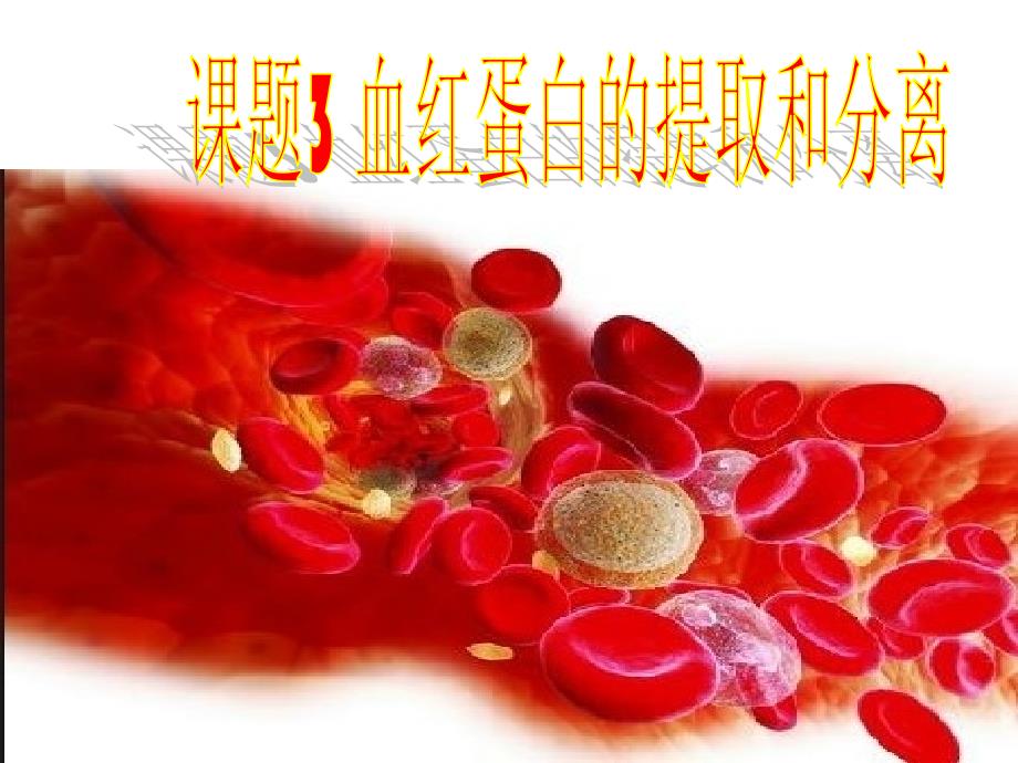 生物选修一5-3血红蛋白的提取和分离.ppt_第1页