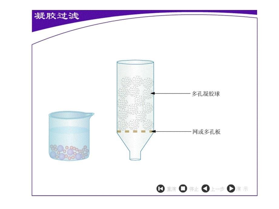 生物选修一5-3血红蛋白的提取和分离.ppt_第5页