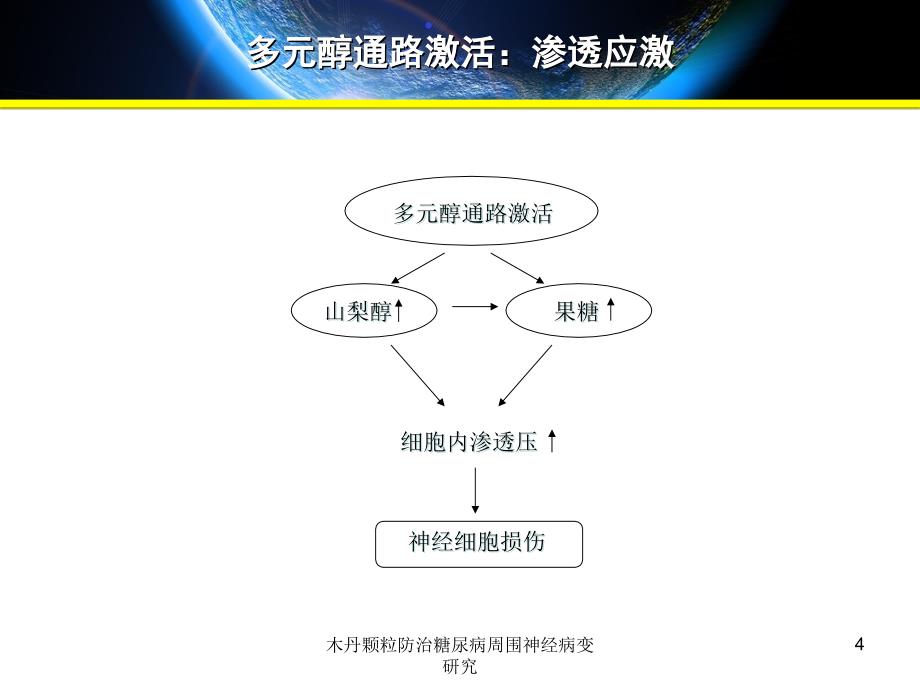 木丹颗粒防治糖尿病周围神经病变研究课件_第4页