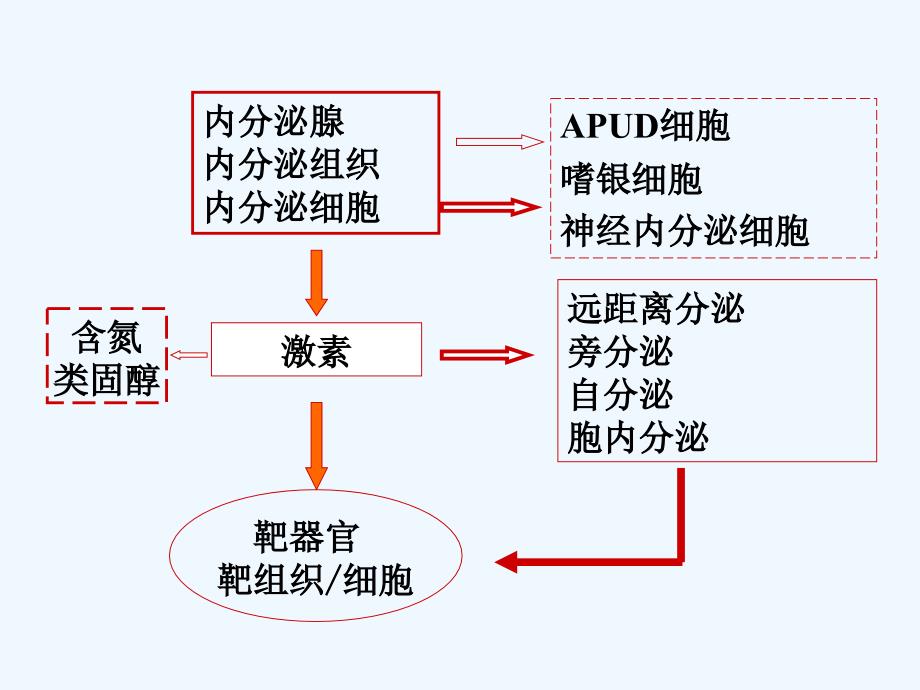 内分泌系统疾病病理课件讲座_第4页