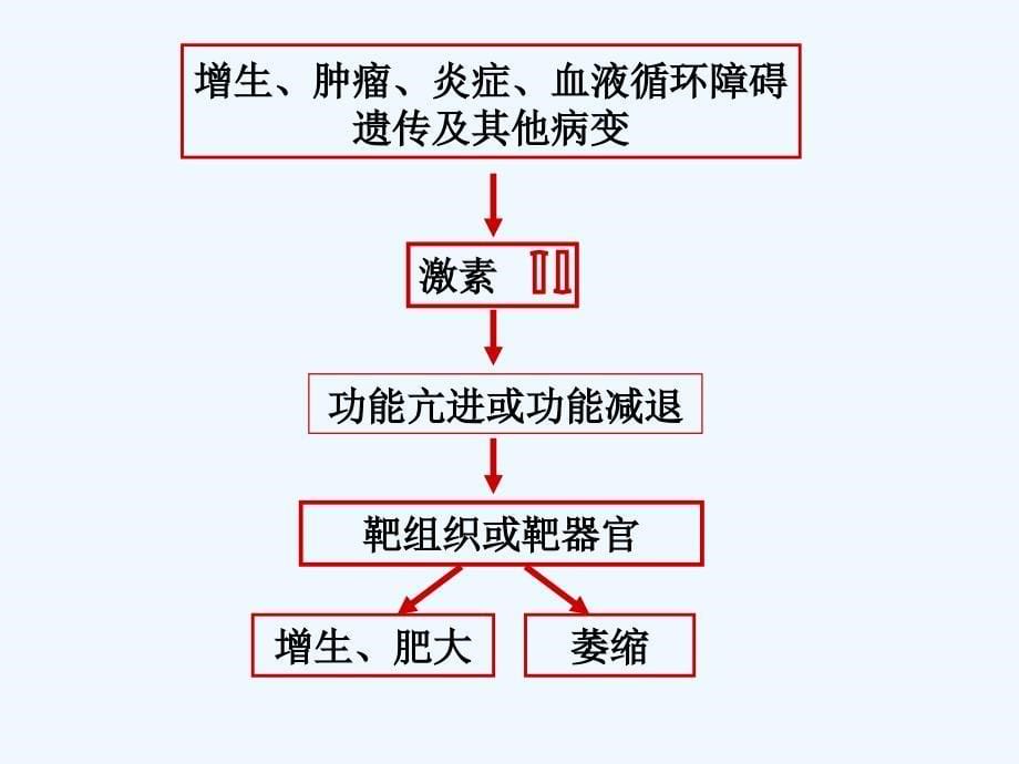 内分泌系统疾病病理课件讲座_第5页