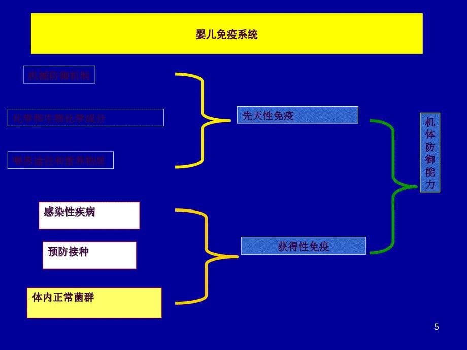 营养与婴幼儿免疫ppt课件_第5页
