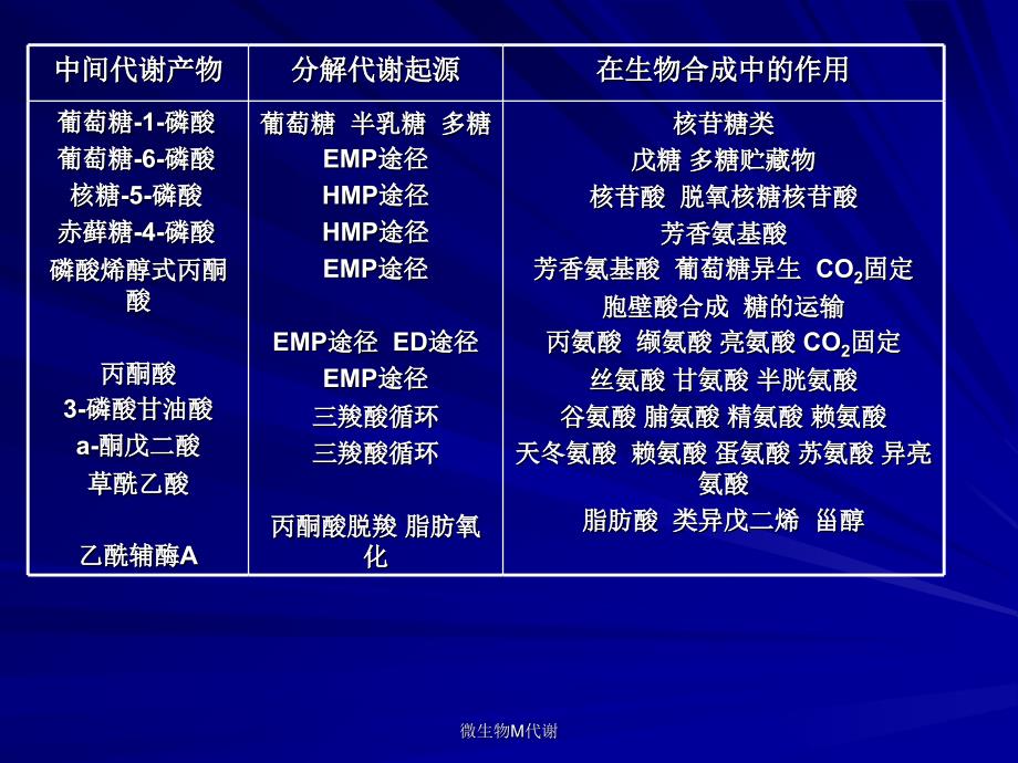 微生物M代谢课件_第4页