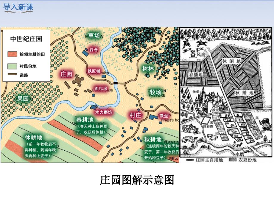 部编新人教版初中历史九年级上册公开优质课课件-第8课-西欧庄园_第2页