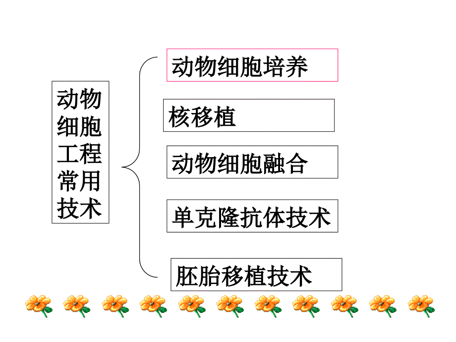 高中生物选修3人教版动物细胞工程课件_第2页