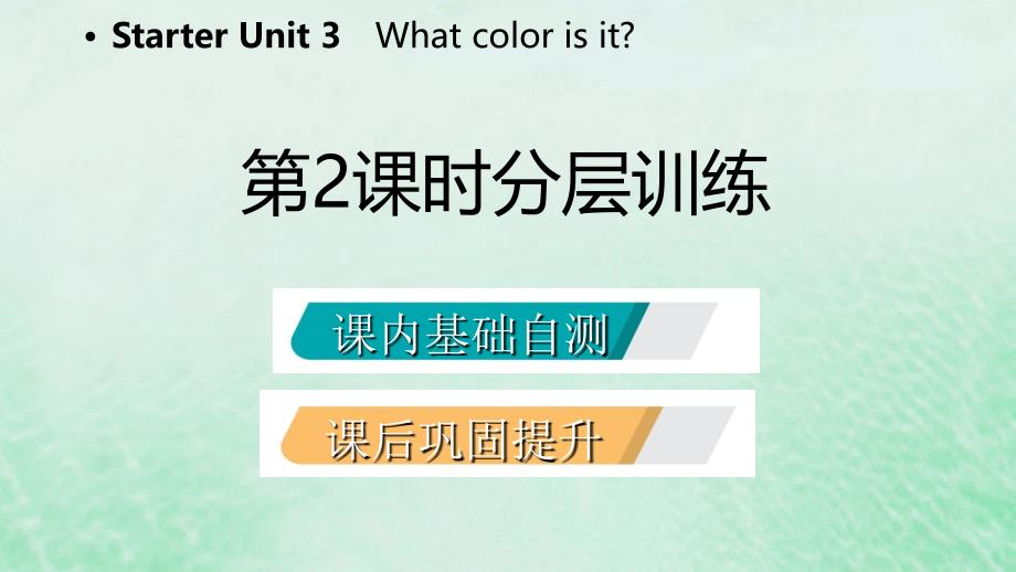 七年级英语上册 Starter Unit 3 What color is it（第2课时）分层训练 （新版）人教新目标版_第2页