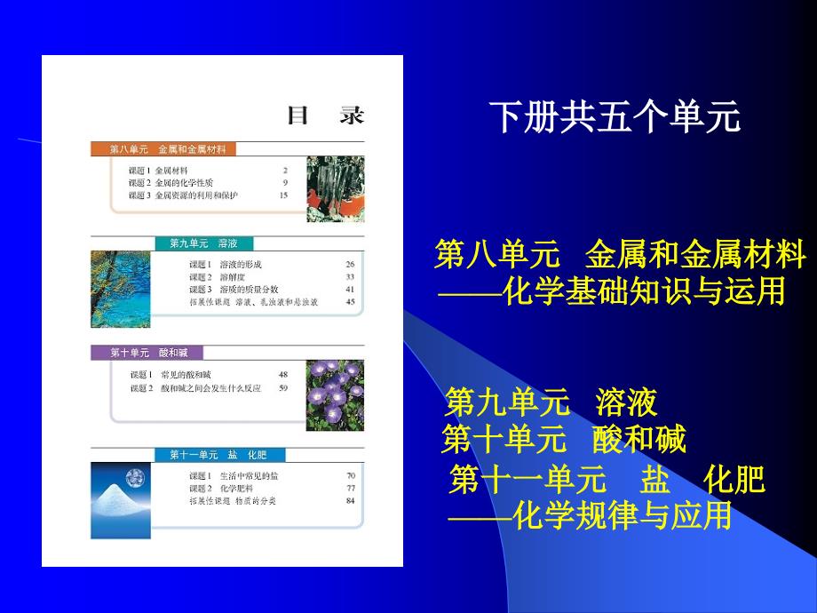 人教版九年级化学下册教材分析8-12单元_第2页