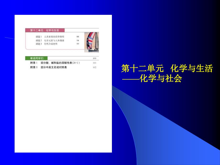 人教版九年级化学下册教材分析8-12单元_第3页