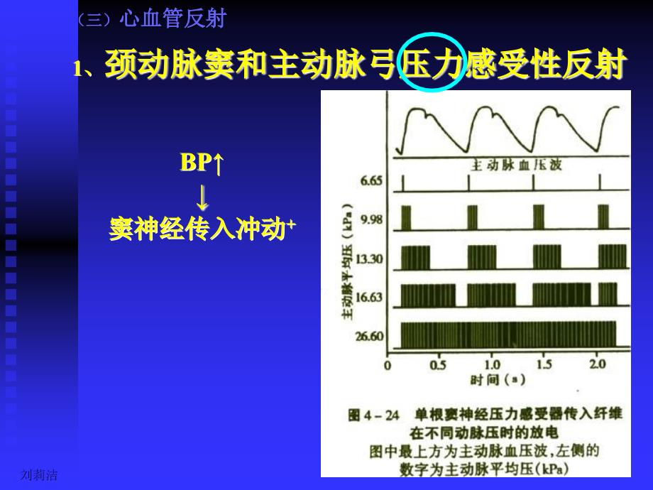 生理学课件呼吸人卫第七版_第3页