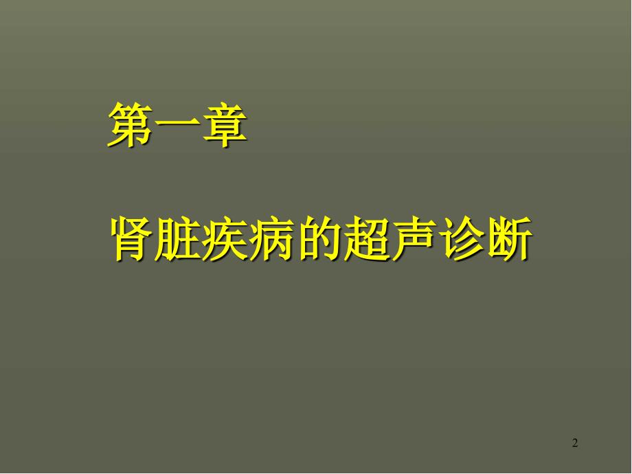 泌尿系统的超声诊断PPT幻灯片.ppt_第2页