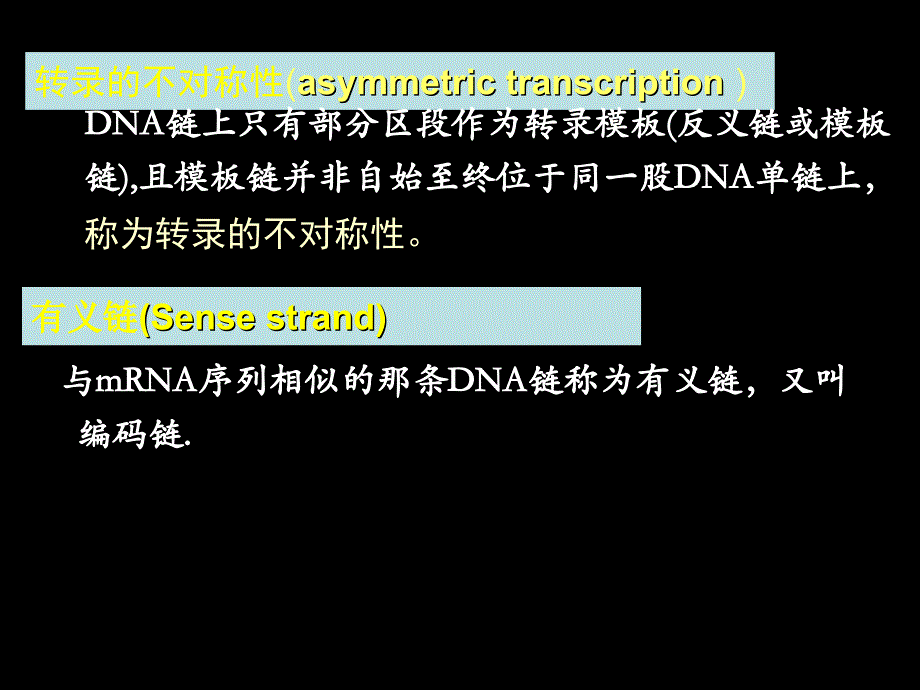 分子生物学第五讲课件_第3页