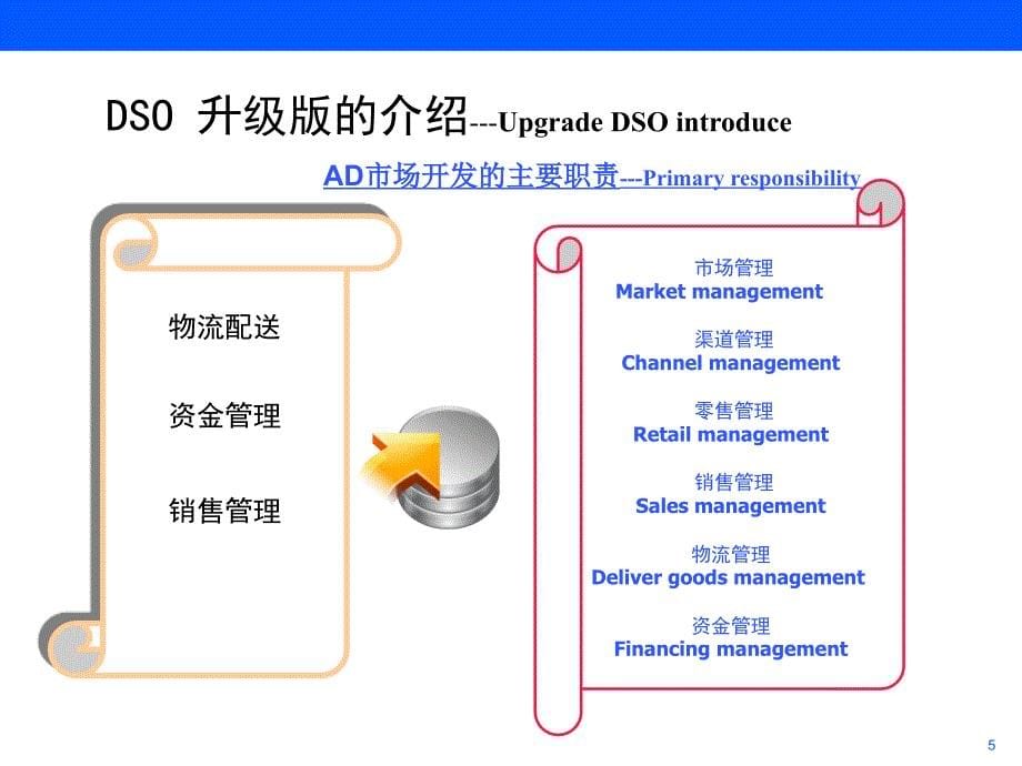 DSO小家电卓越管理流程_第5页