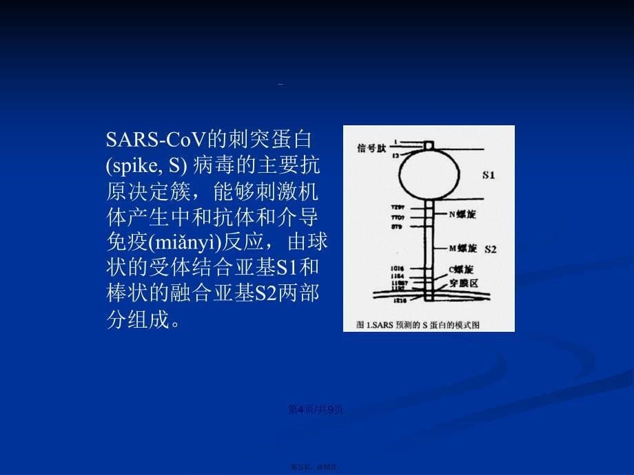 SARS病毒课件学习教案_第5页