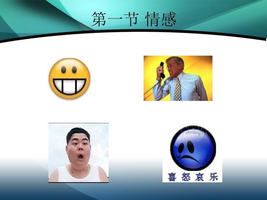 情感意志态度和价值观.ppt_第5页