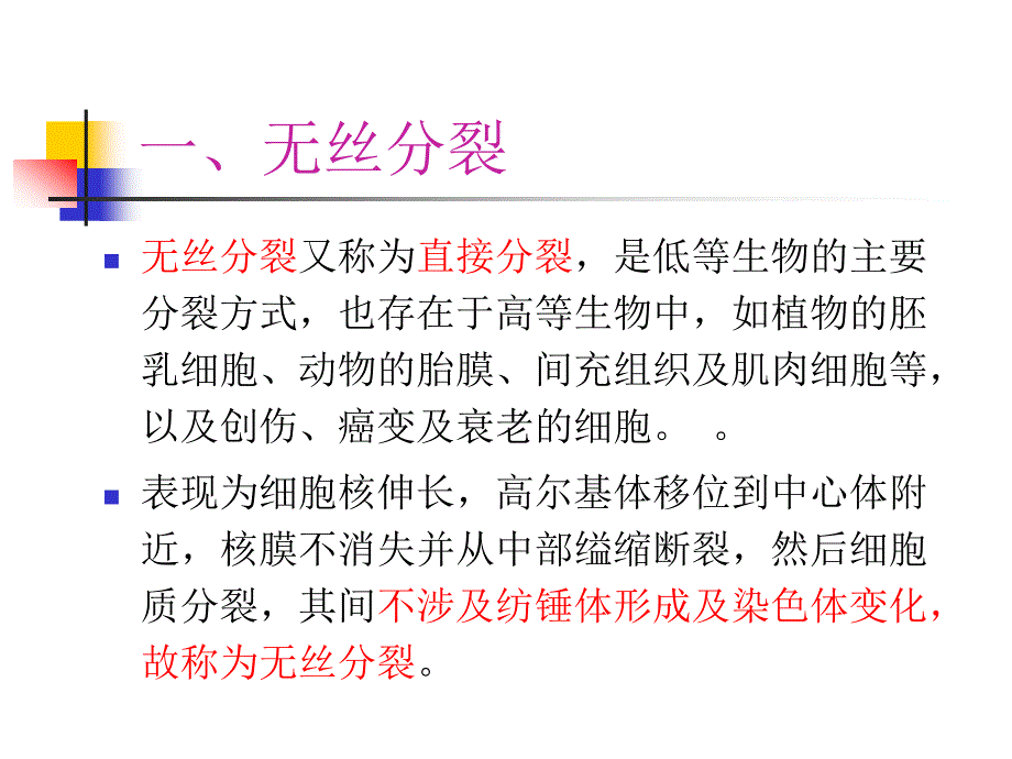 细胞生物学：第十三章 细胞增殖和细胞周期_第4页