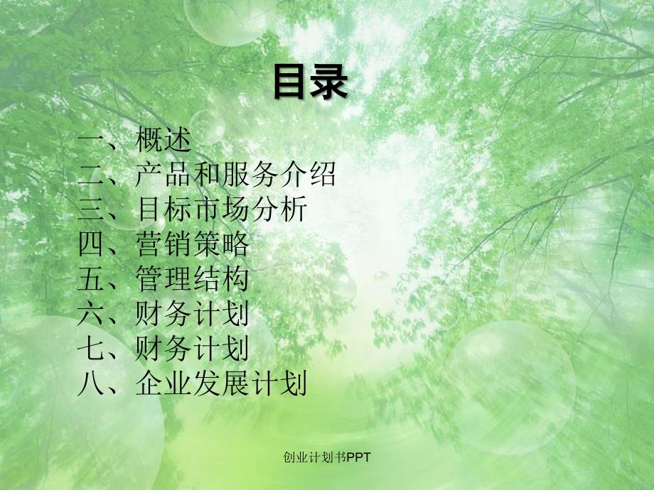 创业计划书PPT_第2页