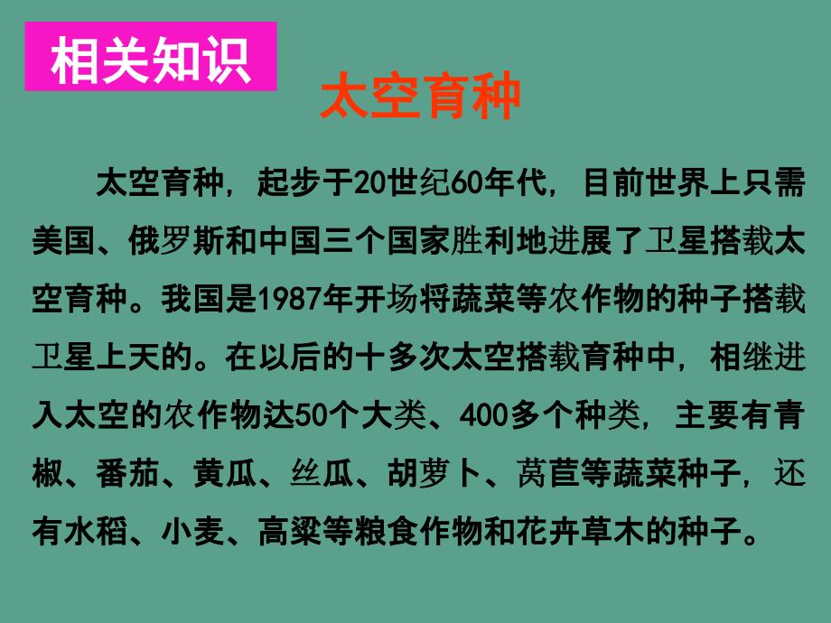 四年级上册语文32.飞船上的特殊乘客人教新课标ppt课件_第3页