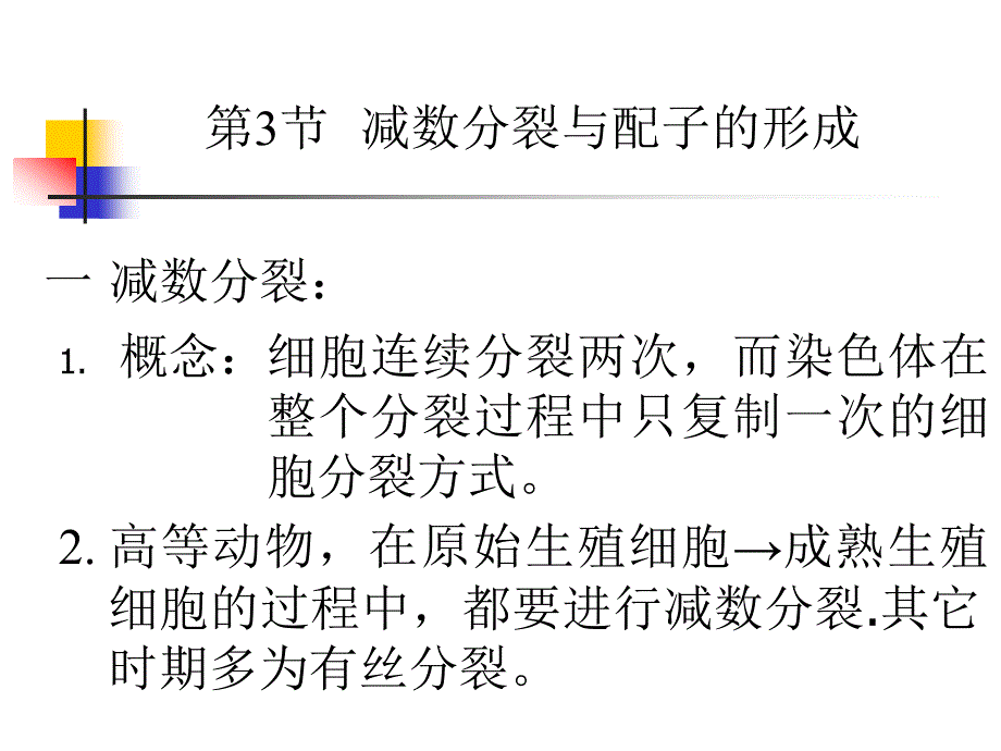 减数分裂及细胞分化_第1页