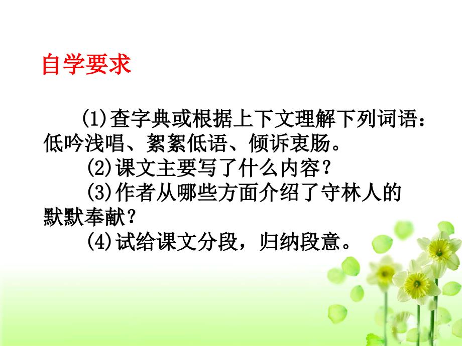 白桦林的低语教学课件_第3页