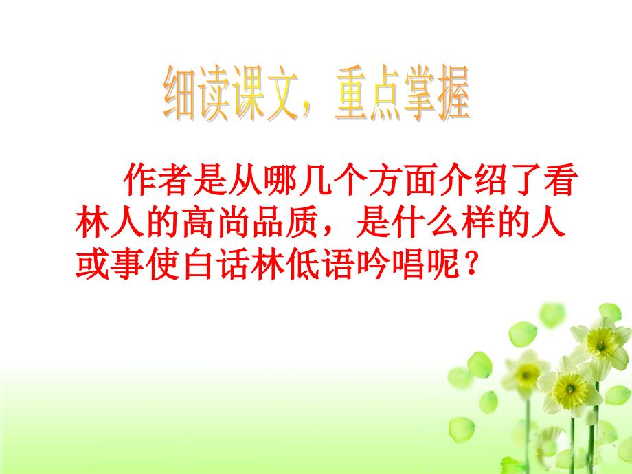 白桦林的低语教学课件_第4页