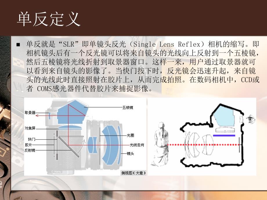 单反相机入门知识新手必看_第2页